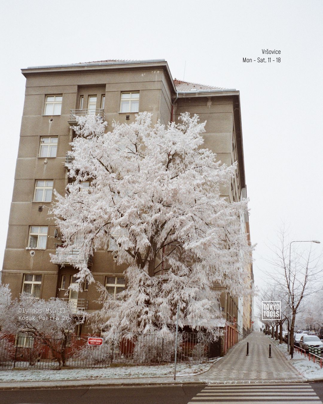 VRSOVICE-ANALOG_JANUARY_4x5-2